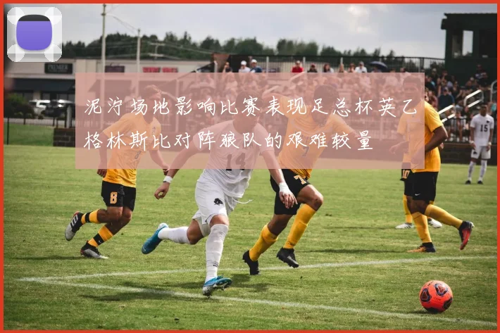 泥泞场地影响比赛表现足总杯英乙格林斯比对阵狼队的艰难较量